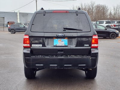 2010 Ford Escape XLT