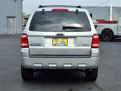 2009 Ford Escape XLT
