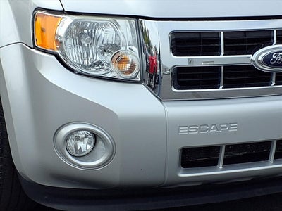 2009 Ford Escape XLT