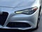 2019 Alfa Romeo Giulia Base